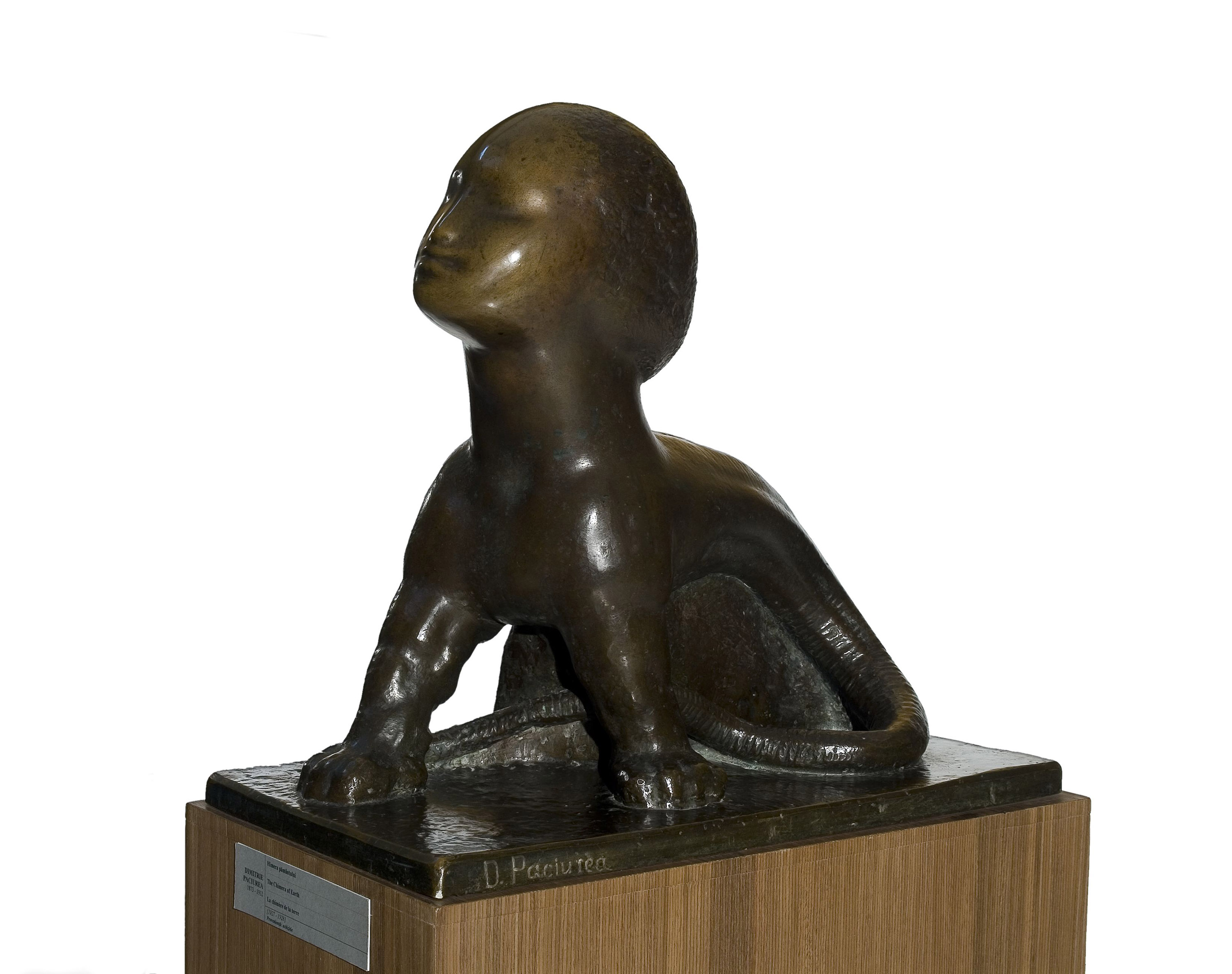 Paciurea - Chimera of the Earth 