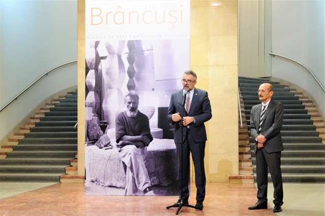 web Brancusi1