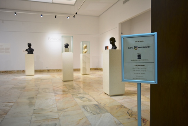 web Brancusi3